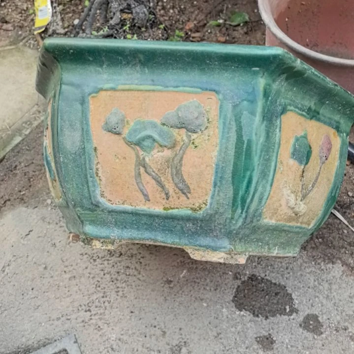 红陶20CM（含）-50CM（不含）半**醒