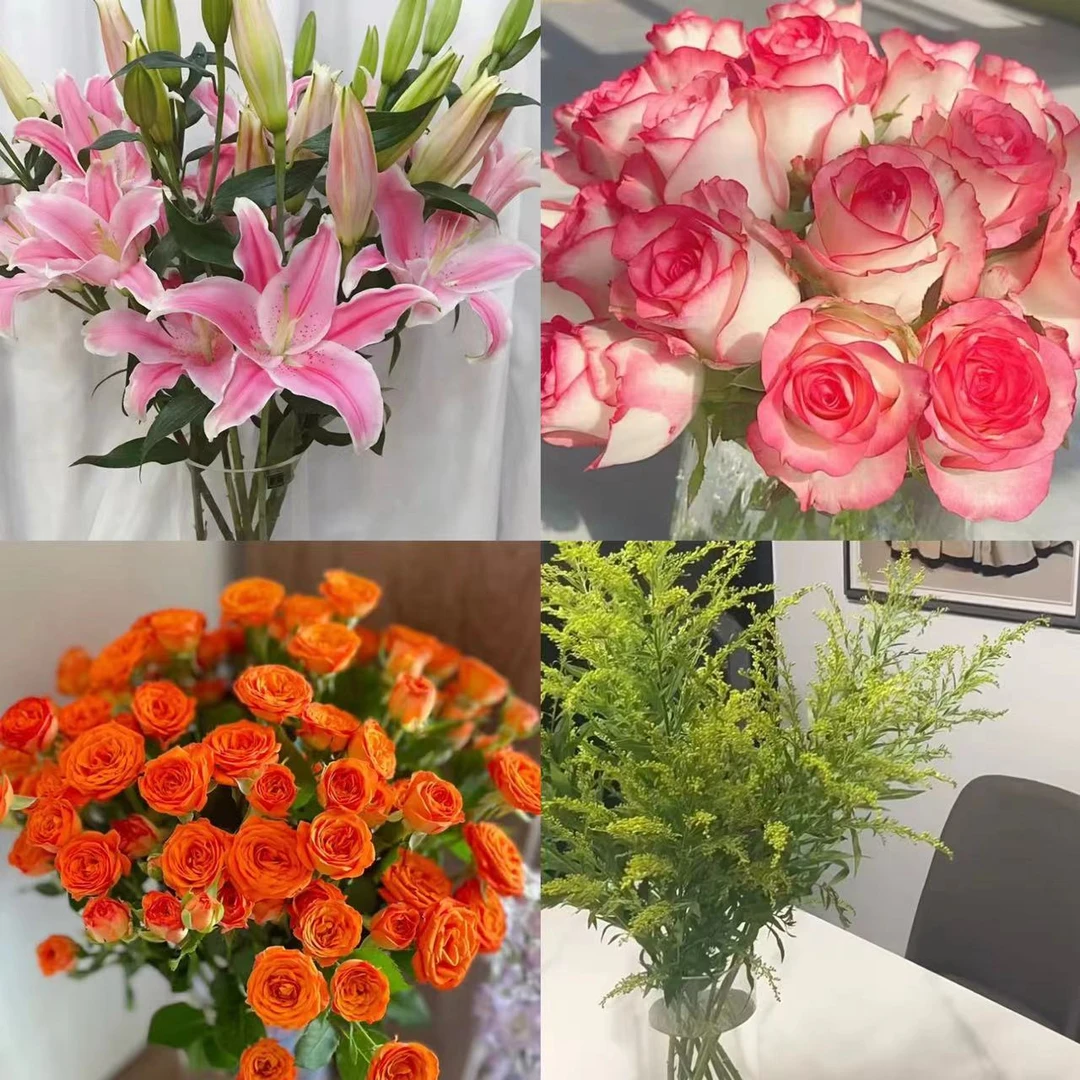 【鲜花四件套】艾莎玫瑰 橙芭比 粉百合 云南鲜花 基地直发~