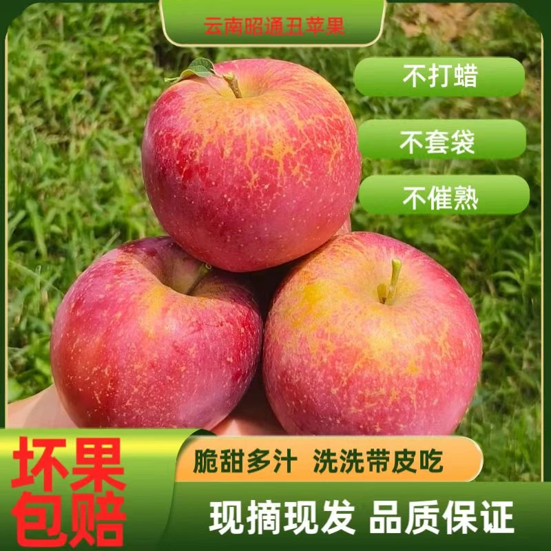 【现摘现发】云南昭通苹果冰糖心当季新鲜孕妇水果5斤10斤包邮