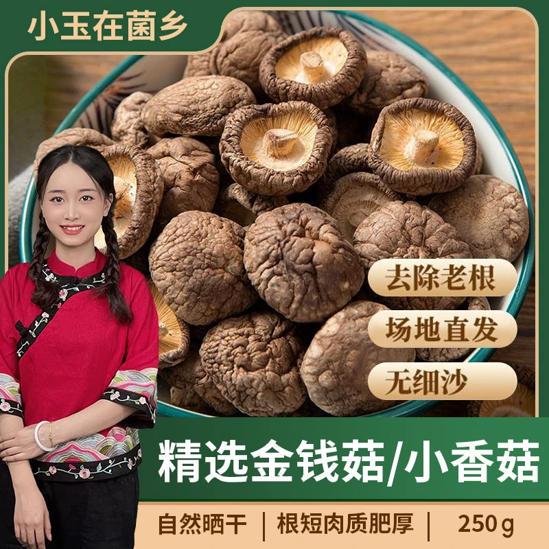 【小玉在菌乡】精品金钱菇小香菇干货250g无根肉厚自然晒干小蘑菇