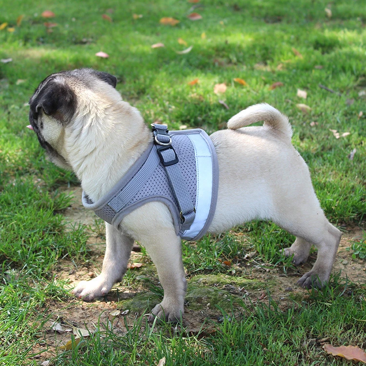 宠物牵引绳 反光狗胸背带狗狗背心式狗绳子中小型犬遛狗宠物胸背