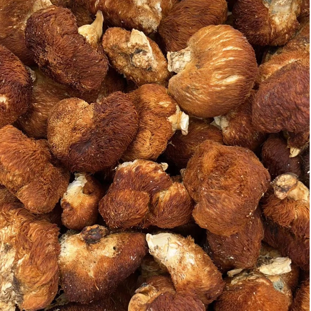 长白山猴头菇250g/500g