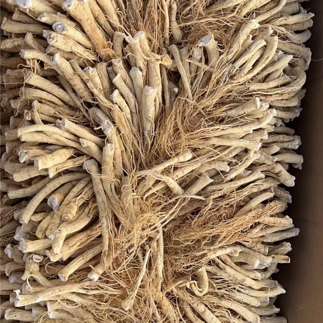 长白山人参须500g