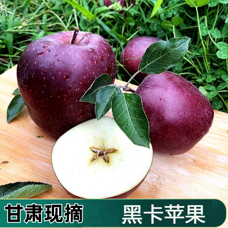 甘肃新鲜黑卡苹果黑钻黑色特产纯甜多汁特产苹果新鲜水果3-5斤