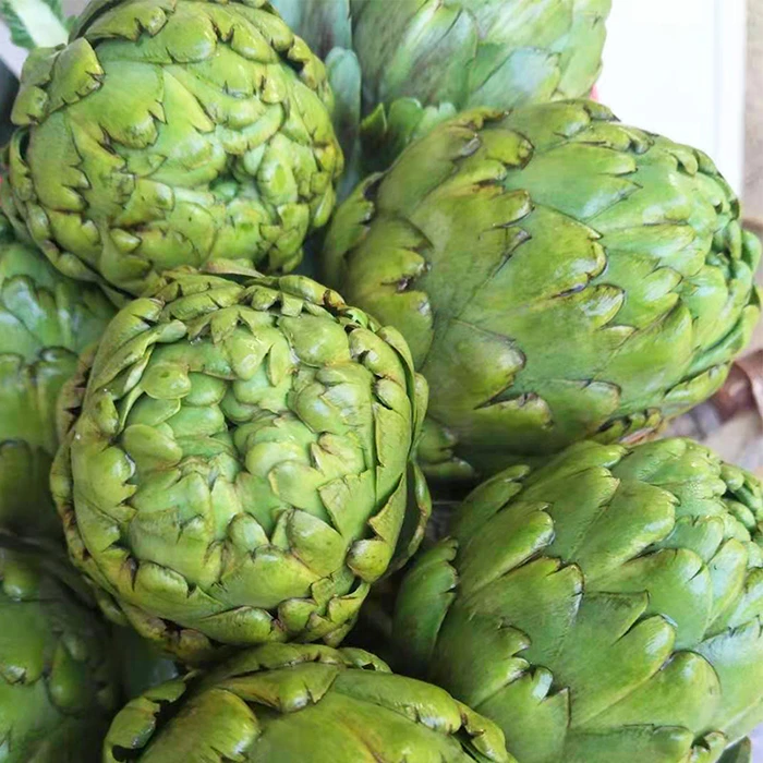 正宗云南新鲜洋蓟朝鲜蓟蔬菜精选产地现摘现发新鲜食材2斤包邮