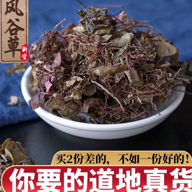 正宗福建风柜斗草干货大山采摘精选风柜斗精选褚头红煲汤泡水50G