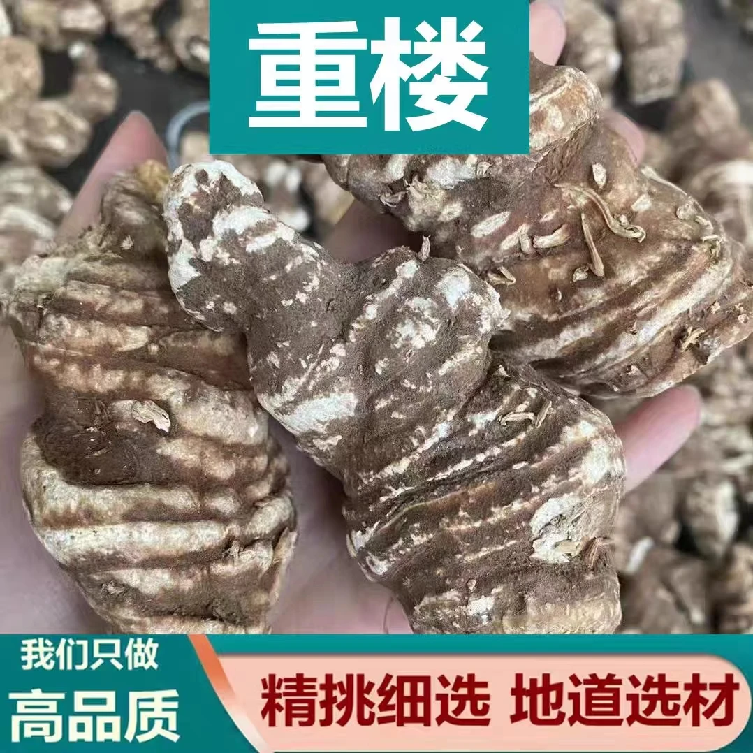 精选高品质重楼 七叶一枝花 云南滇重楼无硫干货粉质草河车蚤休