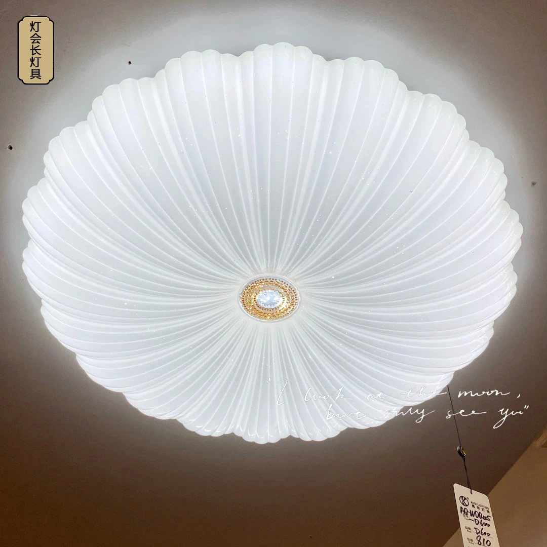 满天星吸顶灯圆形花形卧室灯现代简约客厅灯过道灯走廊灯阳台灯