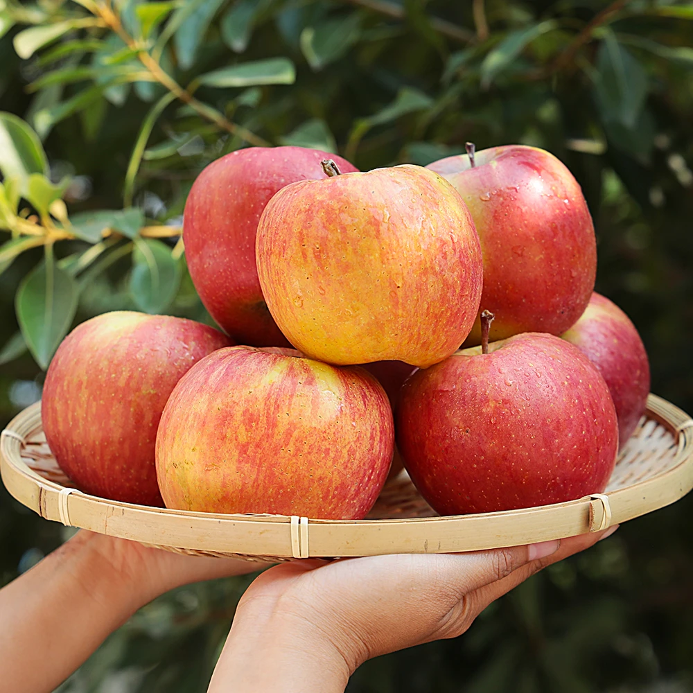 新疆阿克苏苹果5斤装 苹果冰糖心坏果包赔