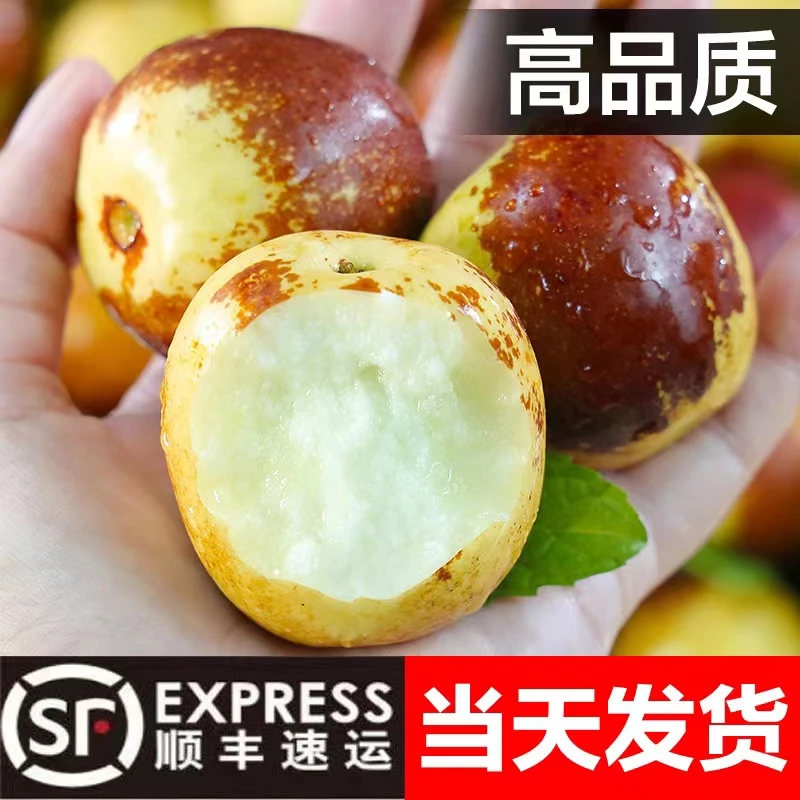 （高品质顺丰）山东沾化冰糖冬枣脆甜特大当季新鲜水果批发3/5斤