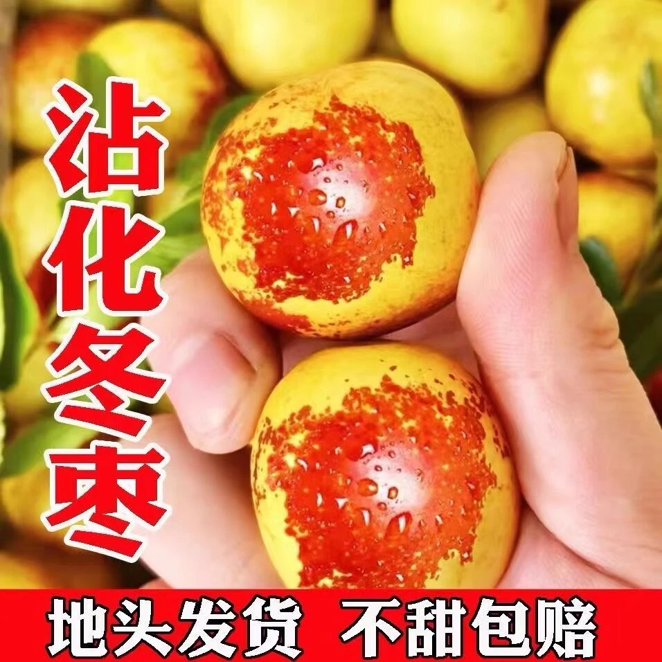 【二代冬枣】30颗一斤沾化冬枣送礼品袋性价比高4斤超脆甜