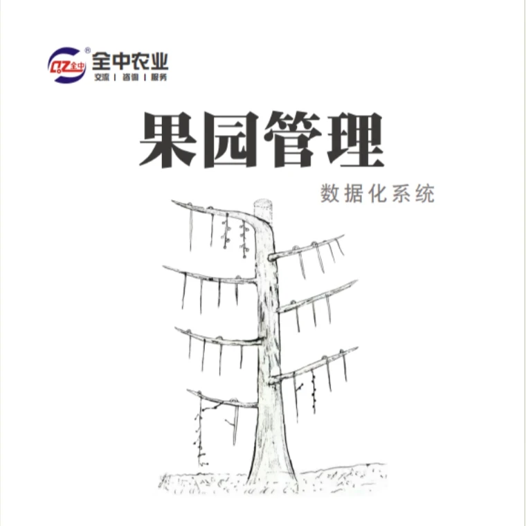 唐老师数据化管理在线视频