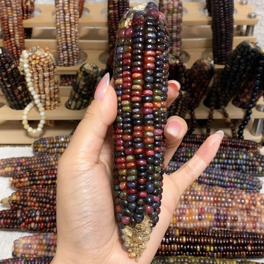 藤类文玩玉米毛料