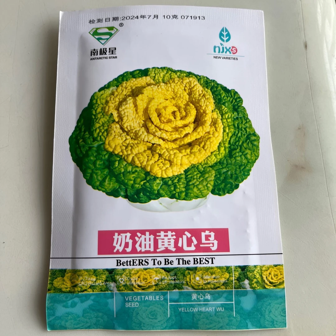 乌塌菜种子一黄一绿（5克大包装拍一发二）