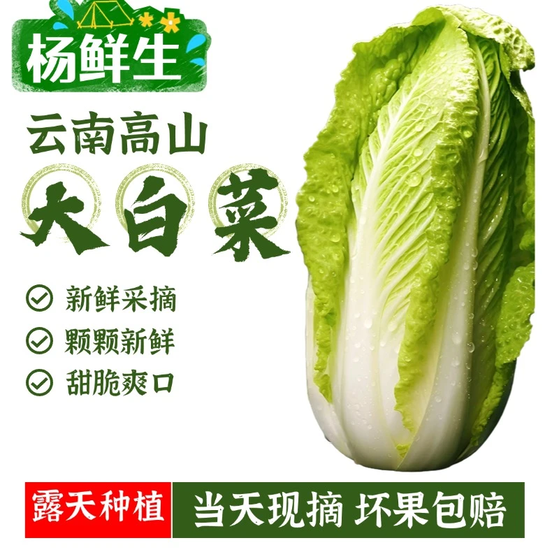 [精选福利]云南高山大白菜黄心娃娃菜清甜爽口农家自种新鲜