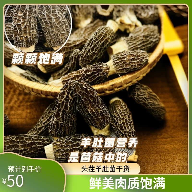 【头茬新品】羊肚菌干货炖汤营养煲汤美味甄选佳品肉质饱满炖鸭汤