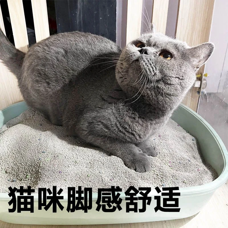 小米砂猫砂抑菌除臭柠檬味10斤20斤高效除臭结团小猫猫砂高效成团