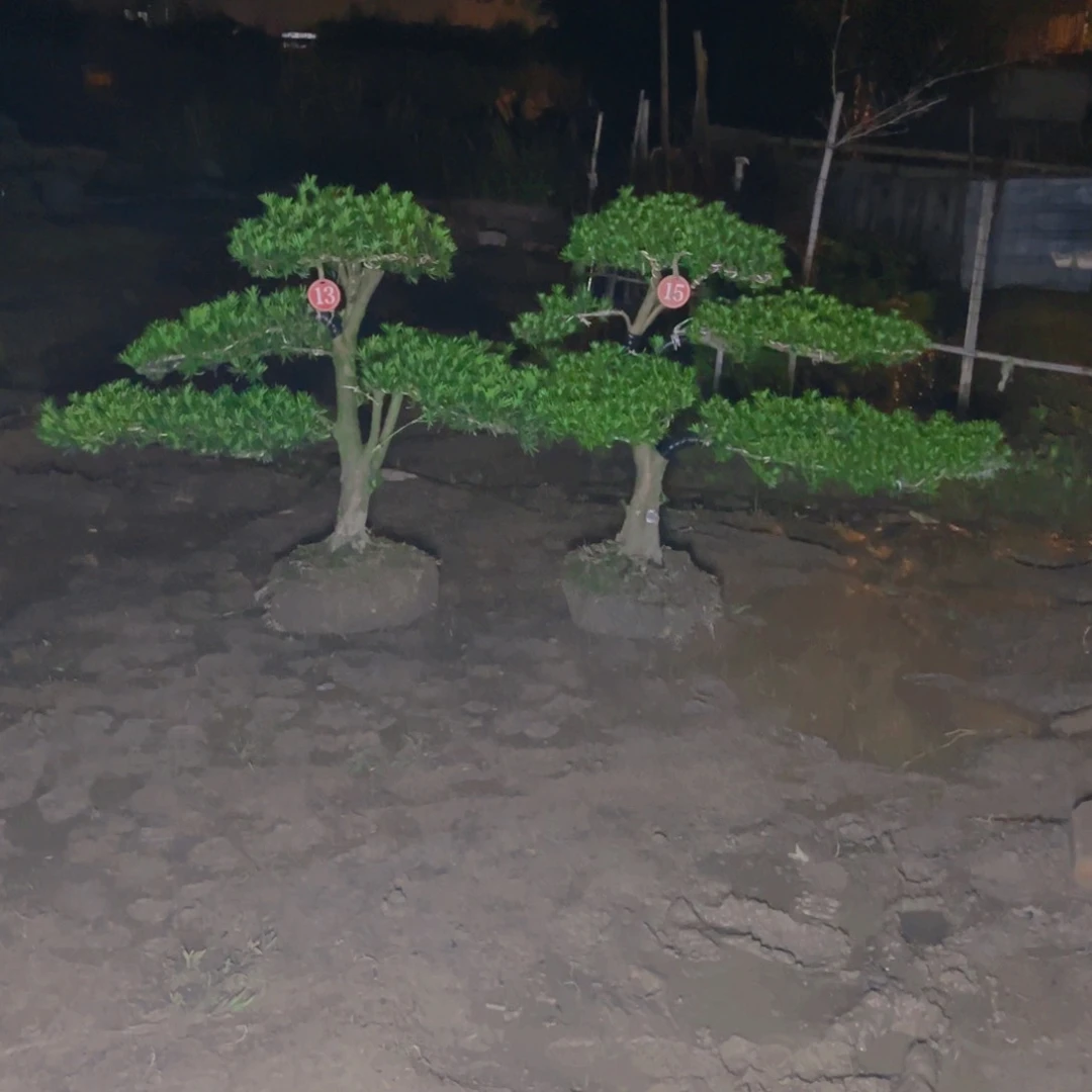 26509658965236985