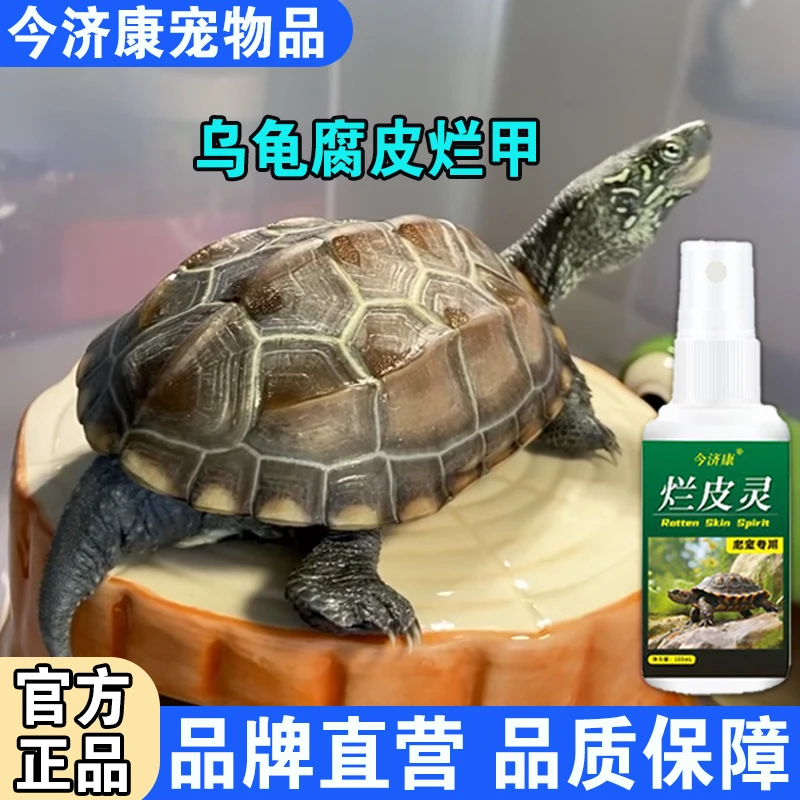 乌龟腐甲水族专用腐皮烂甲疥疮外伤软甲龟壳白斑外伤草龟巴西龟用