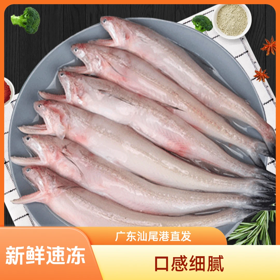 豆腐鱼天然海捕野生广东省汕尾港码头直发冷链包邮包新鲜