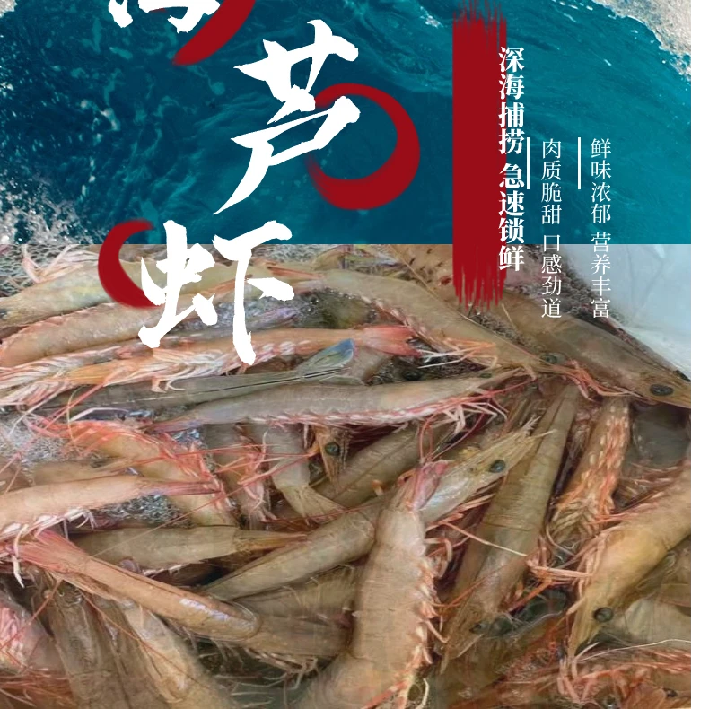 沙芦虾 纯天然野生海捕麻虾 汕尾港码头产地直发水冻3斤5斤