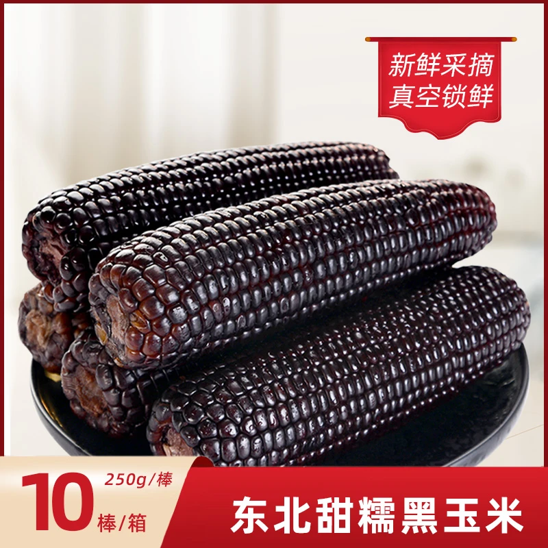 23年新玉米东北黑糯玉米5斤装10支t真空包装