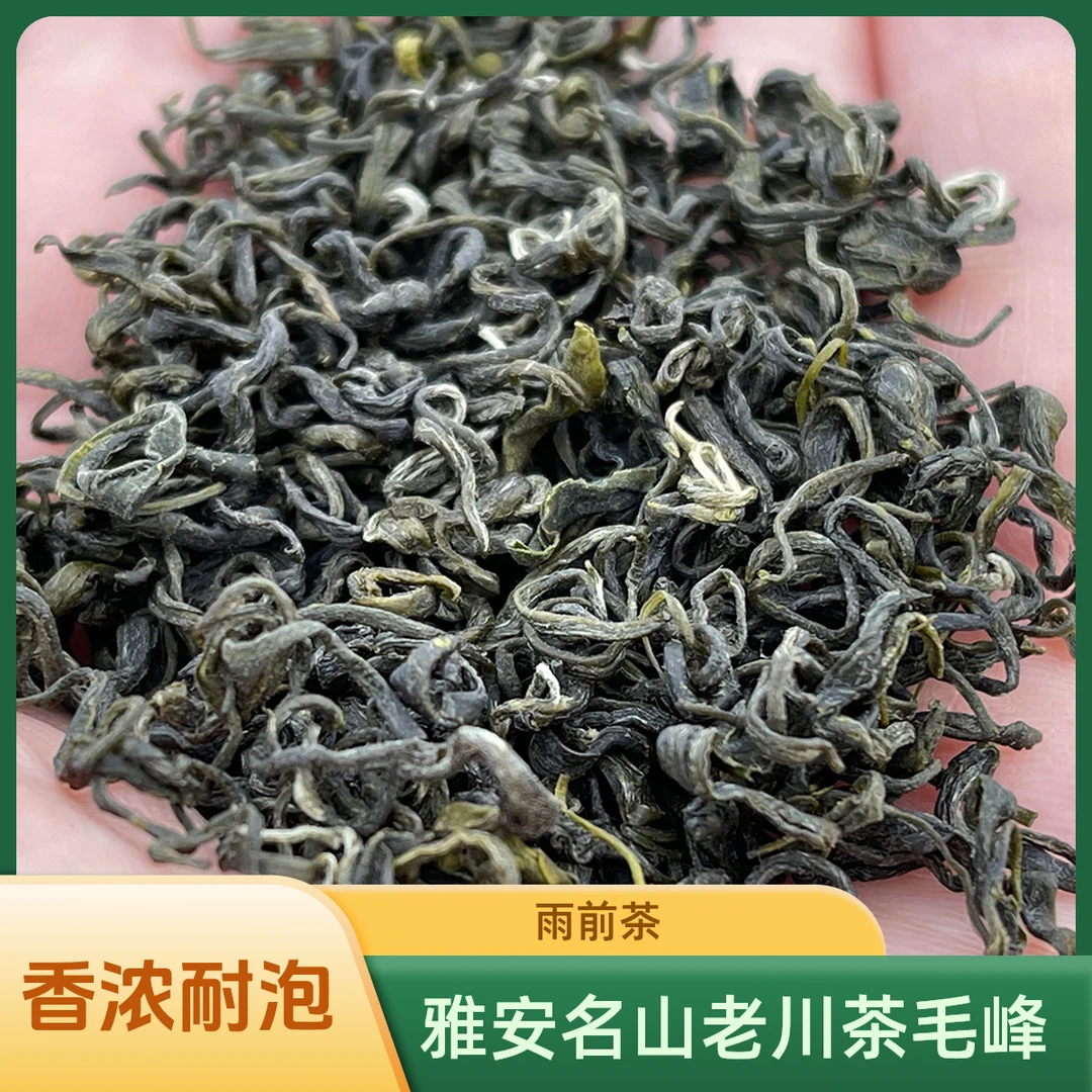 老川茶毛峰高山新茶2024年春茶雅安名山香浓耐泡喝起来有劲口粮茶