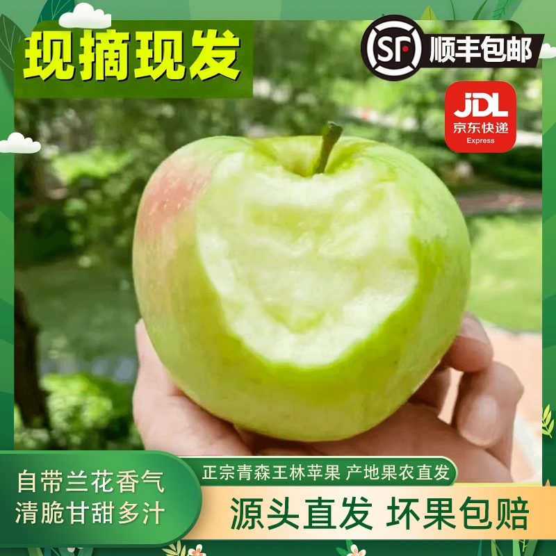 忆脆【京东、顺丰包邮】2024年头茬青森王林苹果青森苹果3.5-8.8斤