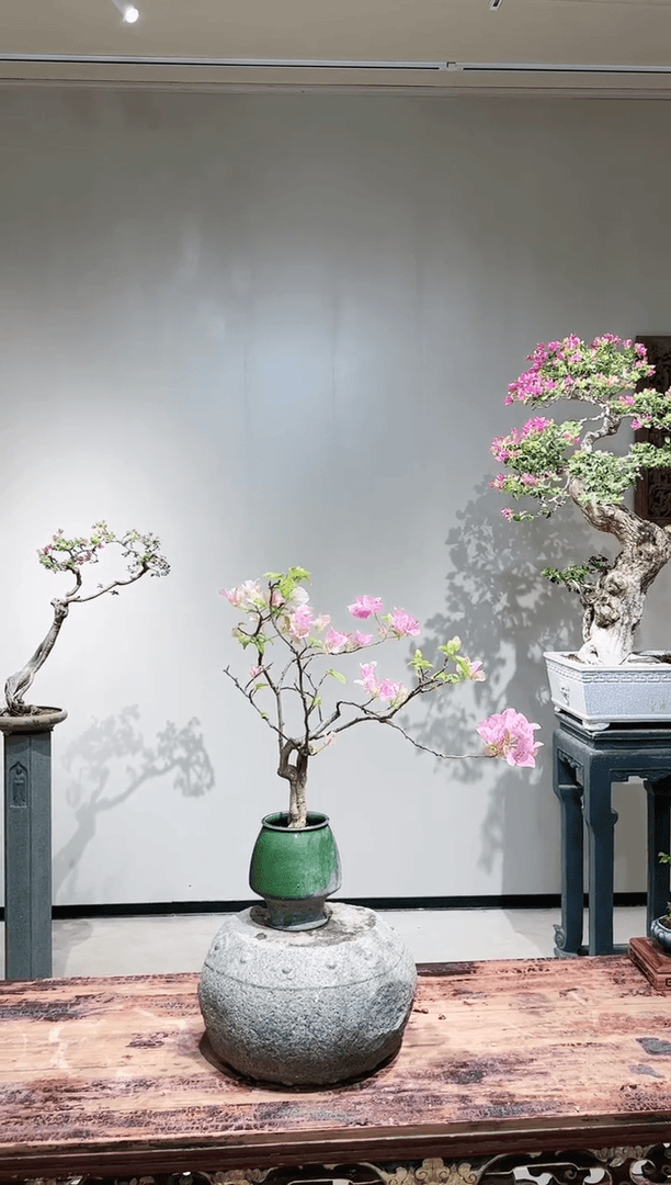 【闪购商品】章红樱