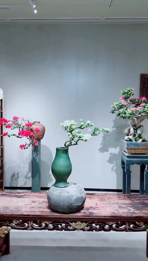 【闪购商品】牙买加白