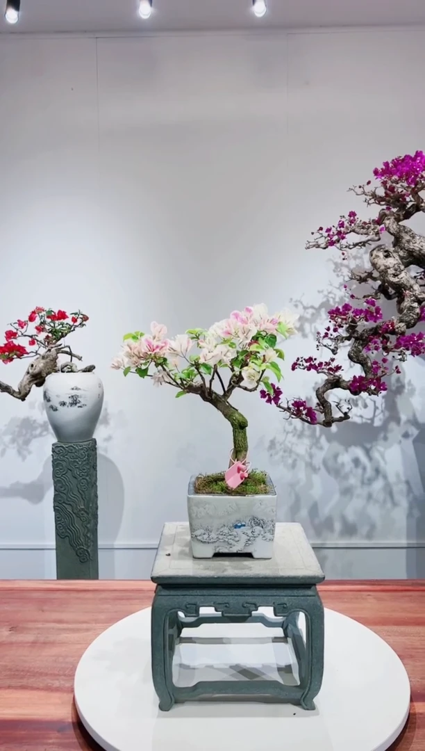 【闪购商品】章红樱