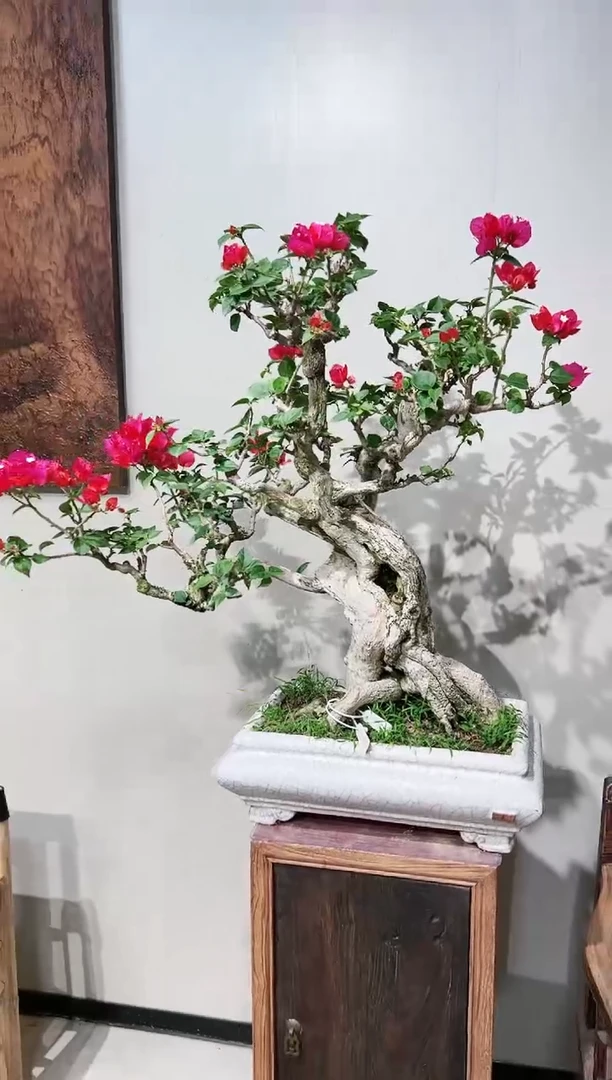 【闪购商品】中国红