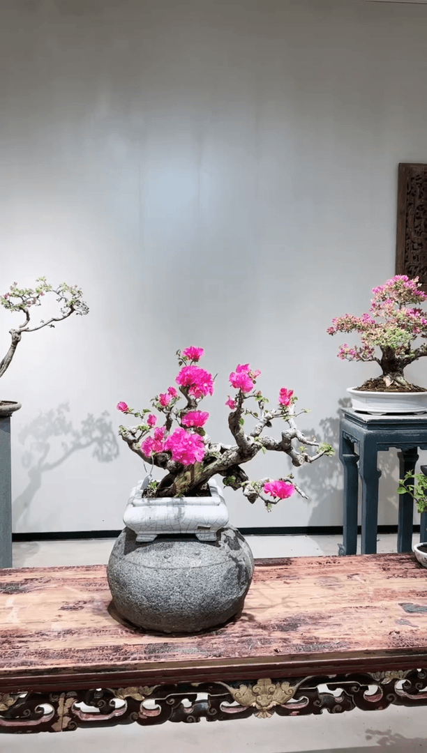 【闪购商品】火焰红