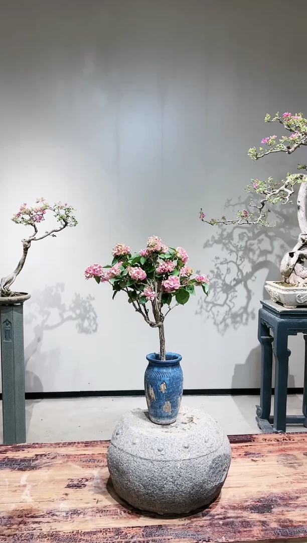 【闪购商品】橙粉公主