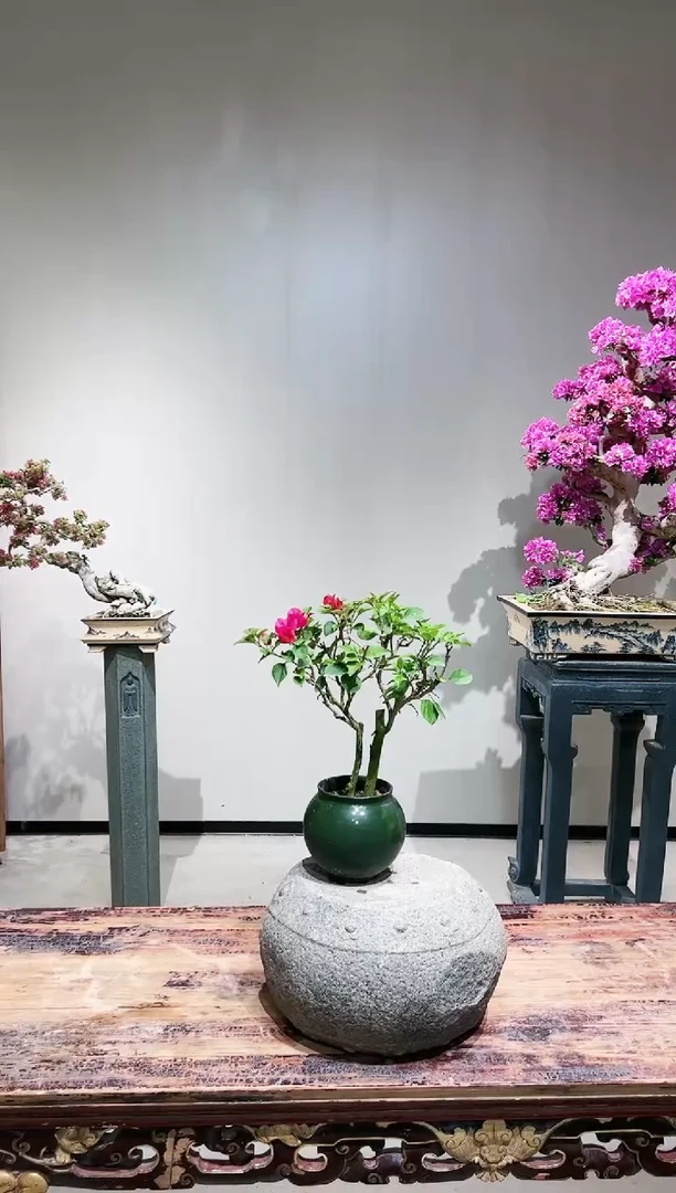 【闪购商品】中国红
