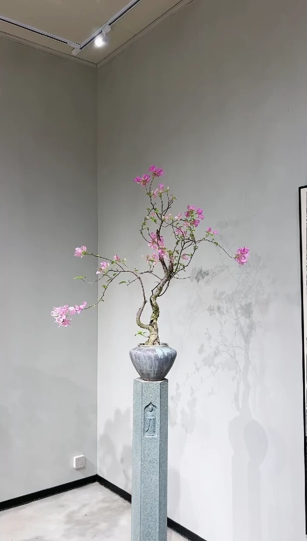 【闪购商品】章红樱