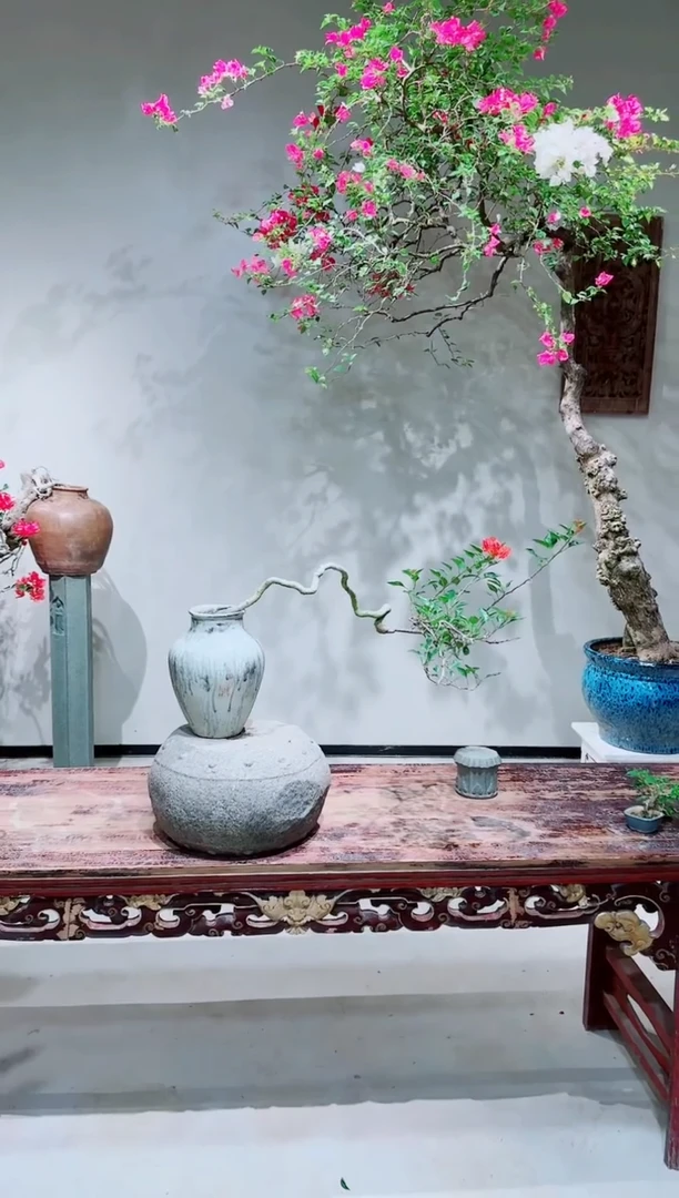 【闪购商品】蒙娜丽莎红