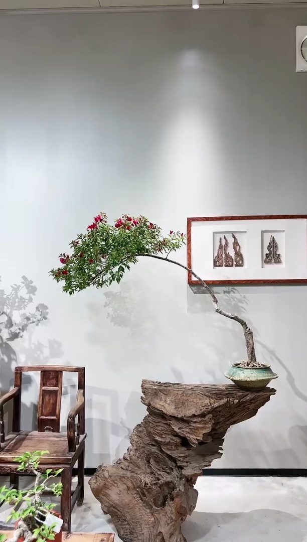 【闪购商品】热火桑巴