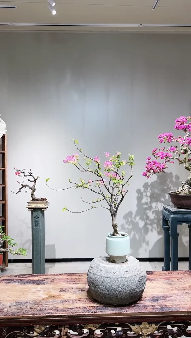 【闪购商品】章红樱