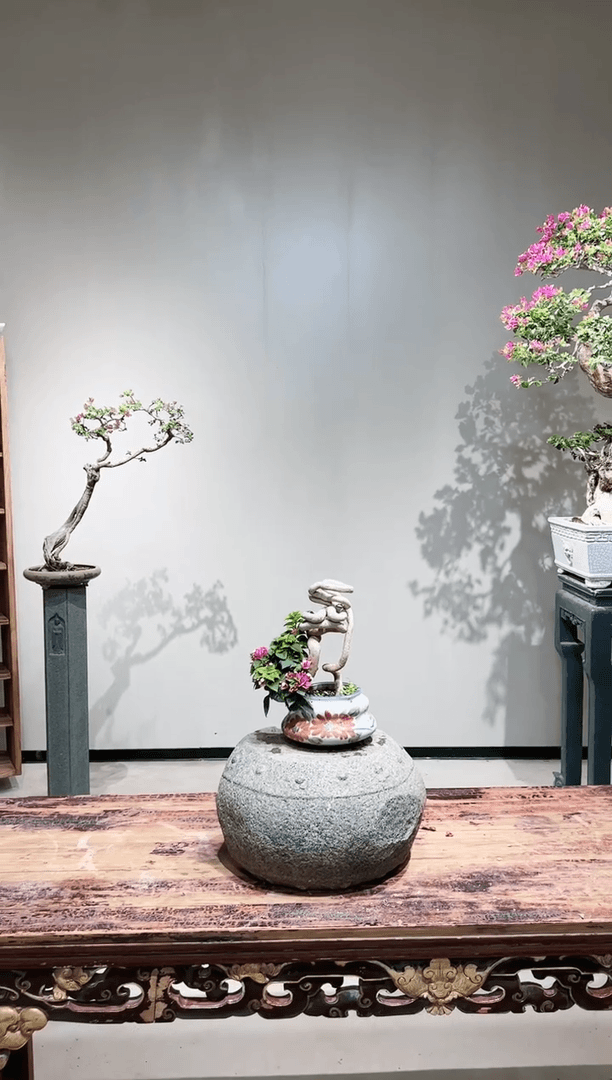 【闪购商品】小桃红