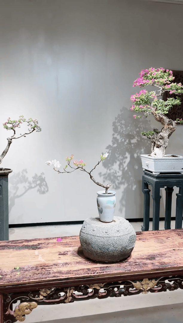 【闪购商品】章红樱