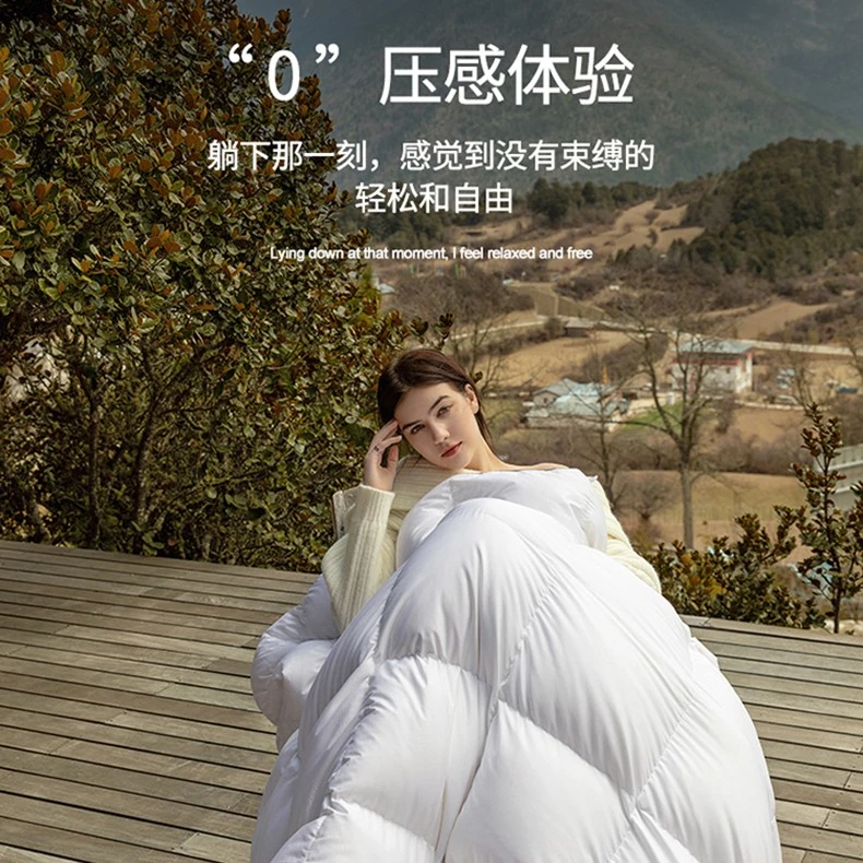 出口瑞士五星级酒店羽绒被豪华二合一抗菌被子母四季羽绒被