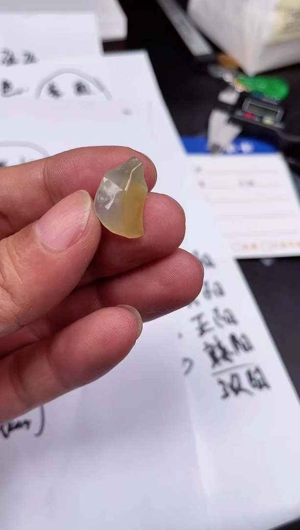 【闪购商品】翡翠颈饰未镶嵌天然翡翠