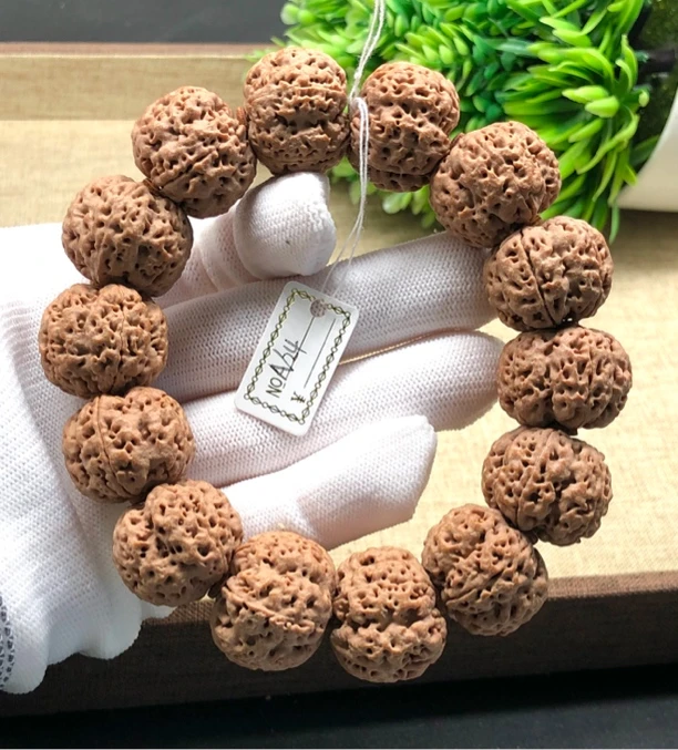 尼泊尔大金刚至尊巨肉梅花A/24