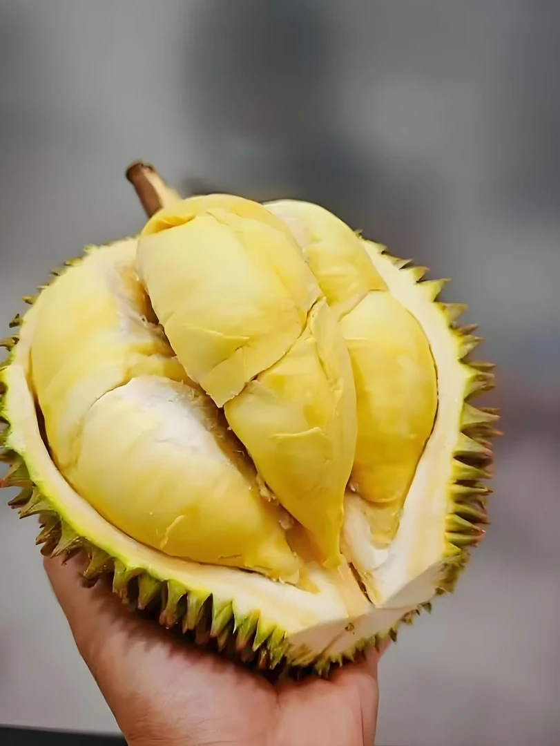 万邦鹏程榴莲肉2.5斤