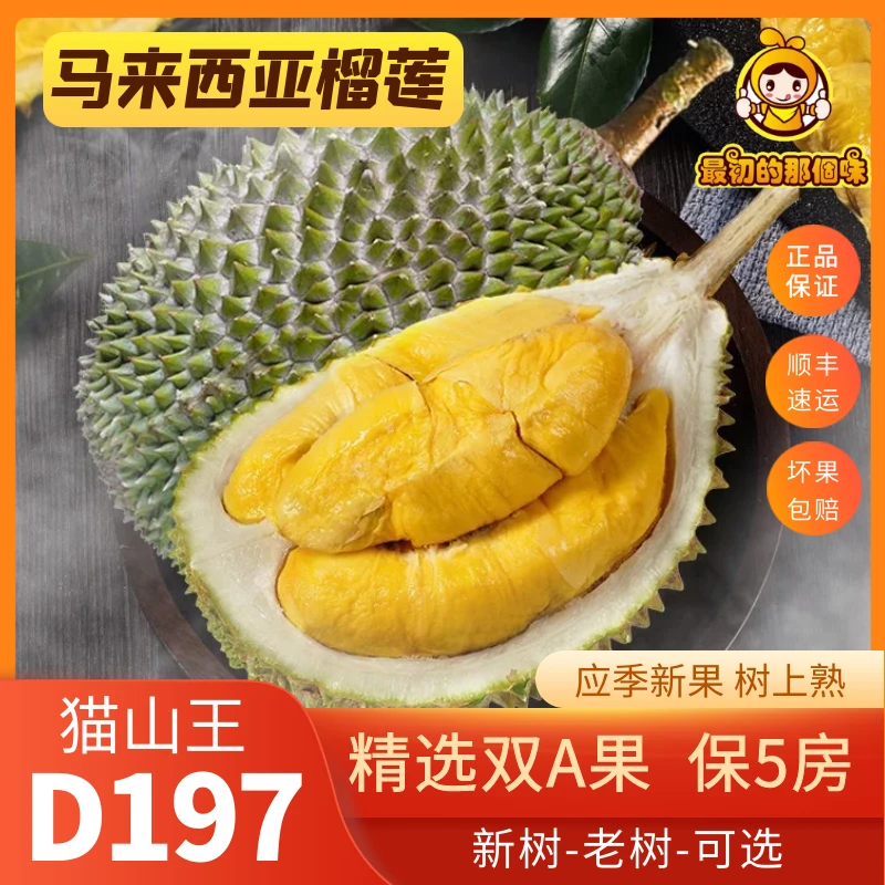 马来西亚D197猫山王榴莲液氮冷冻AA饱满整果树上自然成熟进口水果