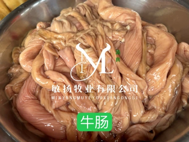 敏扬新鲜现宰黄牛肉现切生牛肠