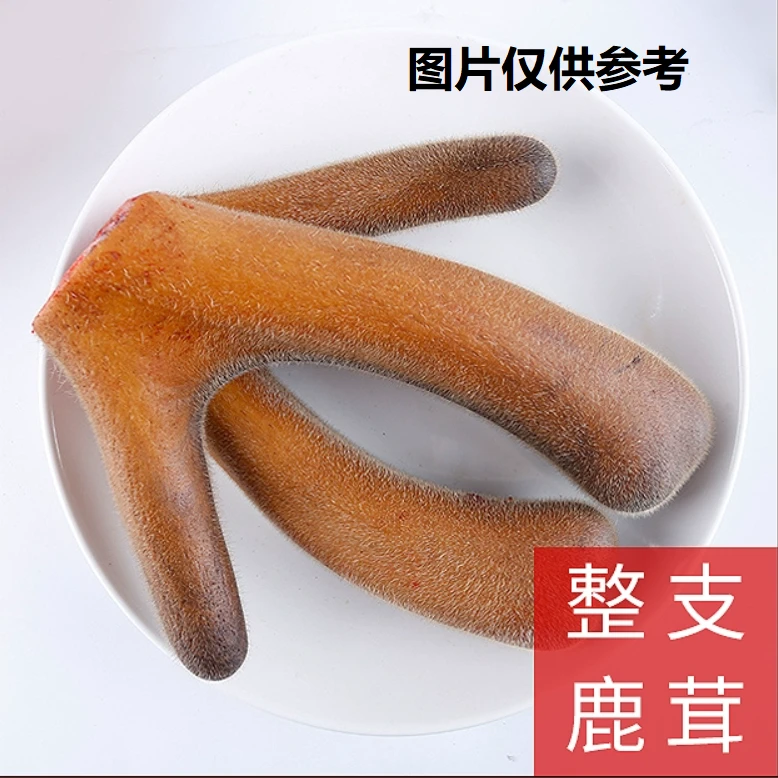 直播选茸吉林梅花鹿头茬鲜鹿茸二杠茸嫩头茸元宝茸鹿茸片泡酒煲汤