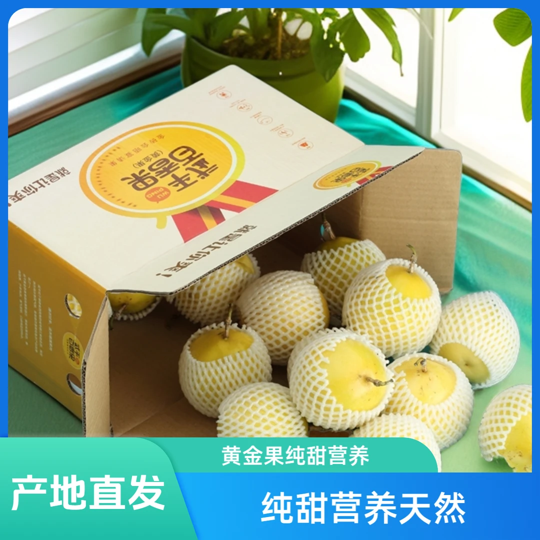 【顺丰包邮】钦蜜9号黄金果纯甜营养天然即食百香果产地直发