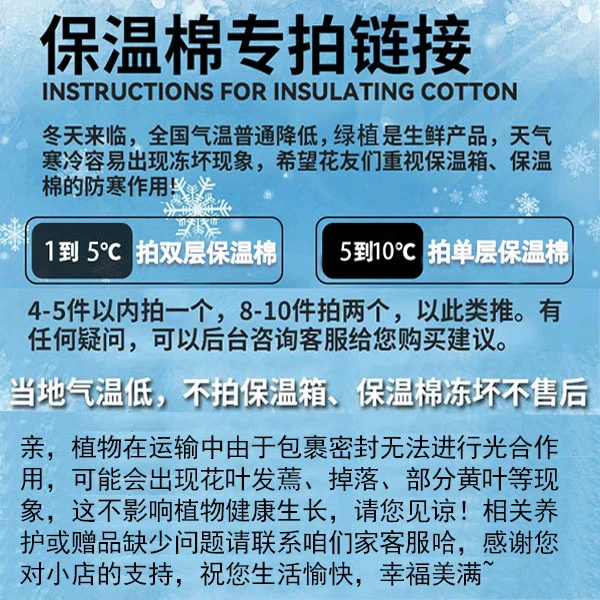 【植物保温棉】10度以下气温地区必须拍 否则植物冻伤冻死无售后